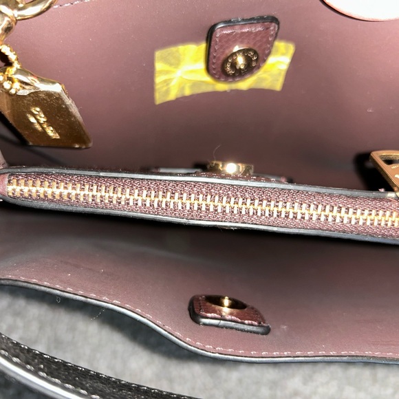 Coach Small Town Bucket Bag